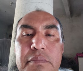 Gerardo Ramirez, 52 года, Los Reyes La Paz
