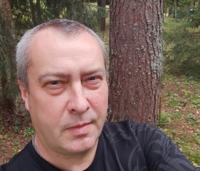 Денис, 43 года, Краснознаменск (Московская обл.)