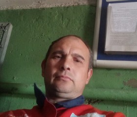 Аркадий, 42 года, Березовка