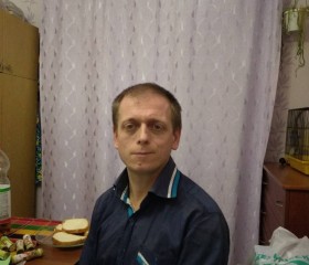 Алексей Булгаков, 47 лет, Ростов-на-Дону