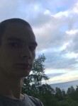 Антон, 28 лет, Медвежьегорск