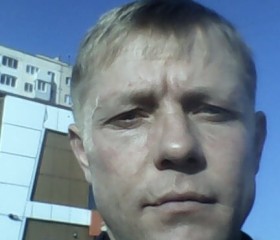 Николай Орлов, 43 года, Фокино