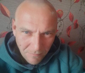 Олег, 41 год, Курск