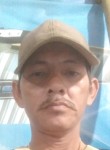 Jekson Limbong, 46 лет, Kota Medan