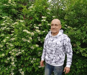 Николай, 59 лет, Аркадак
