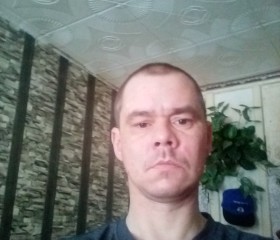 Михаил, 46 лет, Дивногорск