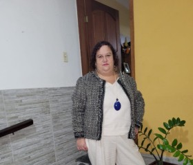 Milena Oliveira, 46 лет, Juiz de Fora