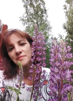 Алёна, 40, Россия, Боровичи