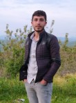 Mehmet, 26 лет, Gelibolu