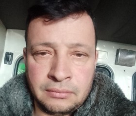 Шурик, 43 года, Москва