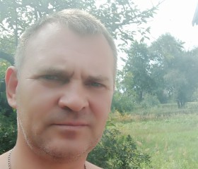 Николай, 45 лет, Берасьце