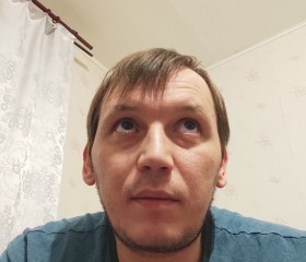 Сергей Швецов, 39 лет, Пермь