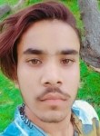 Haidar khan, 19 лет, Shāhjahānpur