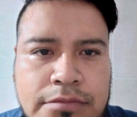 Jose, 31 год, Miguel Hidalgo (Distrito Federal)