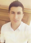 Тимур, 34 года, Алматы