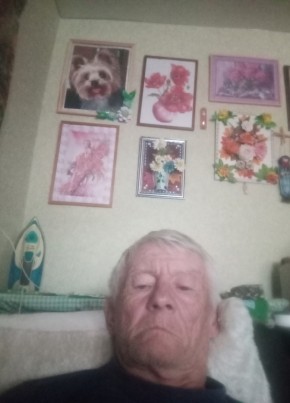 Александр из Петров Вала 68 лет