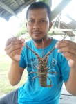 Mando, 34 года, Kota Banda Aceh