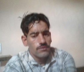 Sameer Thakur, 30 лет, Jalandhar