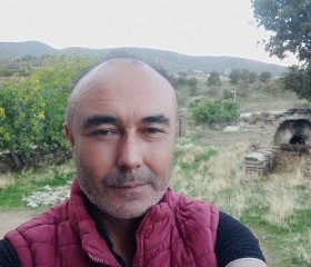 Musa, 39, Kula