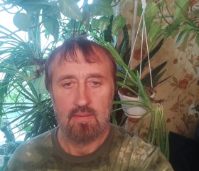 Олег, 53 года, Ижевск