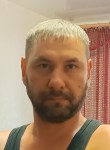 Николай, 40 лет, Краснодар