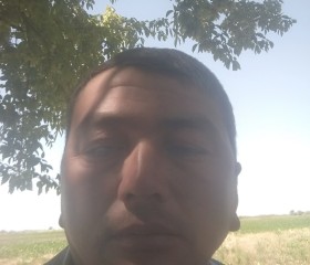 Hamid, 31 год, Toshkent