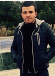 гусейнов, 33 года, Pirallahı