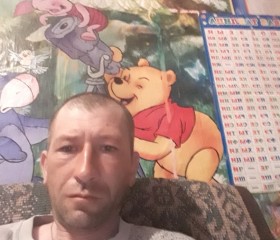 Сергей, 43 года, Чернышевск