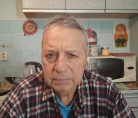Viktor, 80, Saint Petersburg