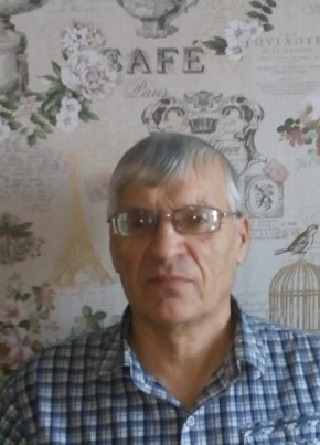 николай, 68, Россия, Шумиха