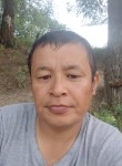 Nurik, 37, Oral