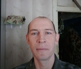 Олег, 41 год, Владимир