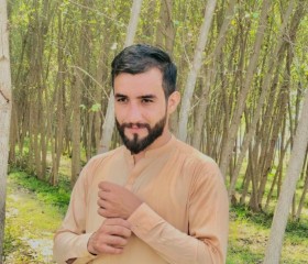 Fazal khan, 32 года, مردان