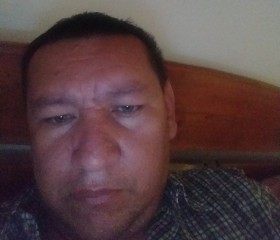 Jose gregorio, 41 год, Santafe de Bogotá