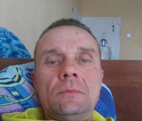 Алексей, 46 лет, Невель