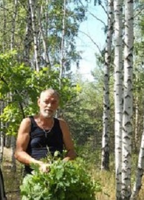 Михаил, 63, Россия, Воронеж
