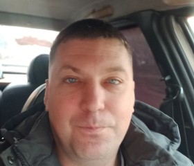 Алексей, 42 года, Железногорск (Курская обл.)