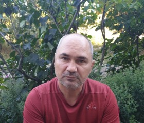 Дмитрий Баров, 50 лет, Самара