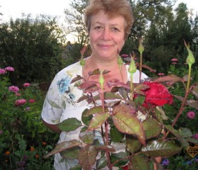 Татьяна, 66 лет, Малоархангельск