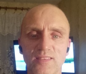 Анатолий, 44 года, Кострома