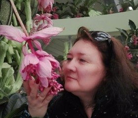 Nataliya, 55, Mortsel