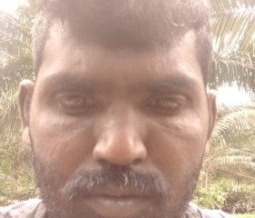 Periya Samy, 36 лет, Kuantan