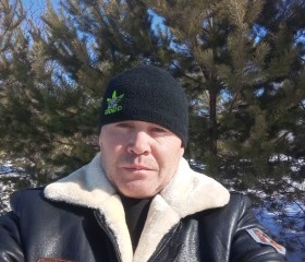 Владимир, 45 лет, Новоалтайск