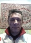 Алексей Дмитриев, 52 года, Лосино-Петровский