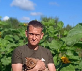 Dimka, 42, Kirov (Kirov)