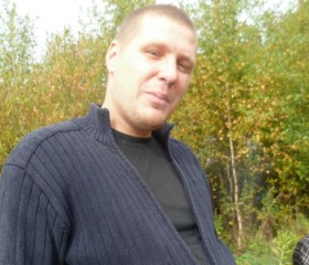 Николай, 45 лет, Сегежа