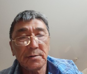 Анатолий, 61 год, Энгельс