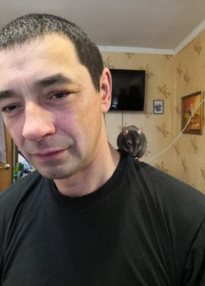 Александр, 46, Россия, Мирный (Архангельская обл.)