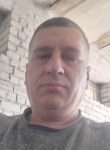 Александр, 43 года, Бишкек
