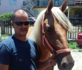 Javier, 47, San Juan